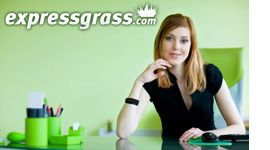 officeside
